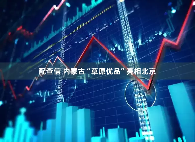 配查信 内蒙古“草原优品”亮相北京