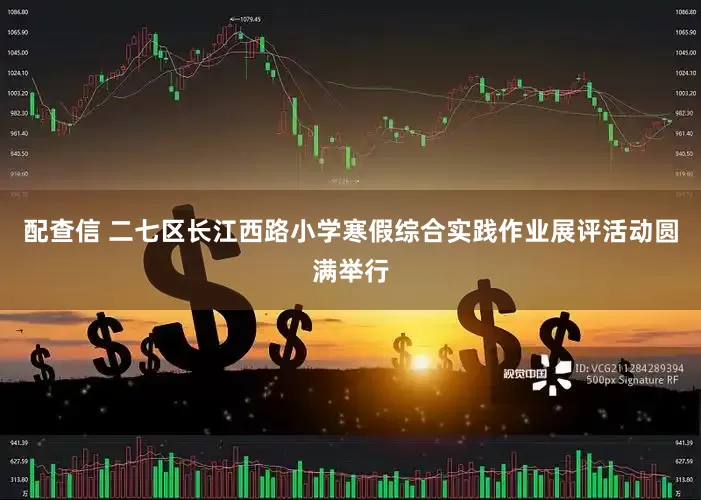 配查信 二七区长江西路小学寒假综合实践作业展评活动圆满举行